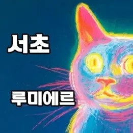 🏙️ 서초구 홈타이 – 프리미엄 홈케어, 이제는 집에서 받자