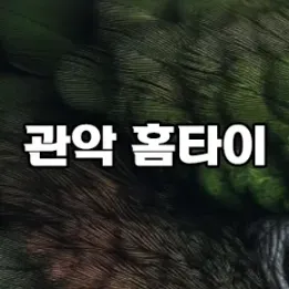 🌿 관악 홈타이 – 집에서 받는 프라이빗 힐링