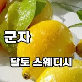 🌺 군자 달토 스웨디시 – 은은한 아로마와 함께하는 조용한 힐링 공간