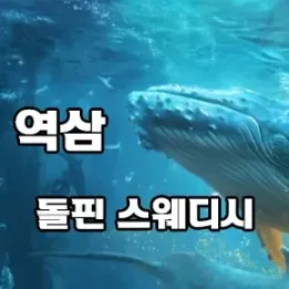 🐬 강남 역삼 돌핀 스웨디시 – 도심 속 깊은 릴렉싱의 파도