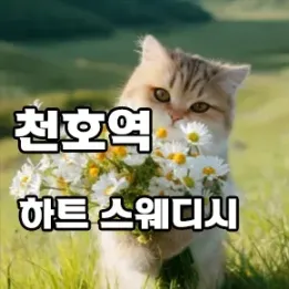 강동 천호역 하트 스웨디시 – 진짜 힐링을 원한다면