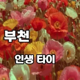 💆‍♀️ 부천 인생타이 – 조용히, 깊이 스며드는 진짜 힐링