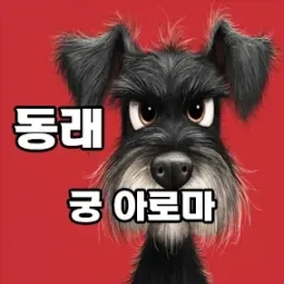 🏯 동래 궁 아로마: 전통과 힐링이 어우러지는 품격 있는 휴식