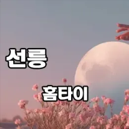 🔥 선릉역 홈타이 1등 관리사는 과연 누구일까?