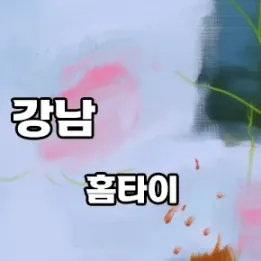 🔥 강남역 홈타이 비교 끝판왕! 현장 후기부터 가격까지 전부 정리